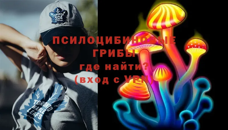 дарнет шоп  Новочебоксарск  Галлюциногенные грибы Magic Shrooms 